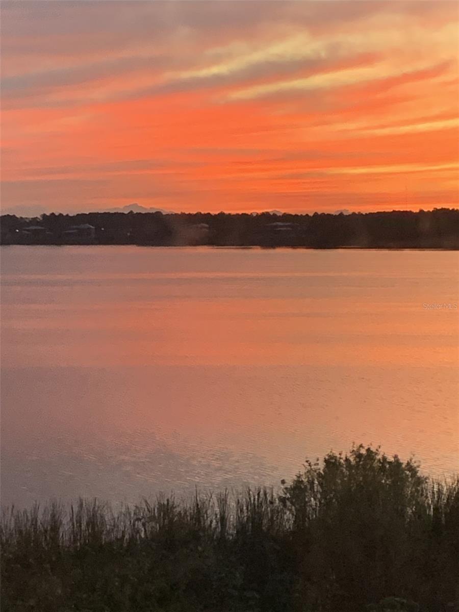 Listing photo 3 for 16300 County Road 455 #305