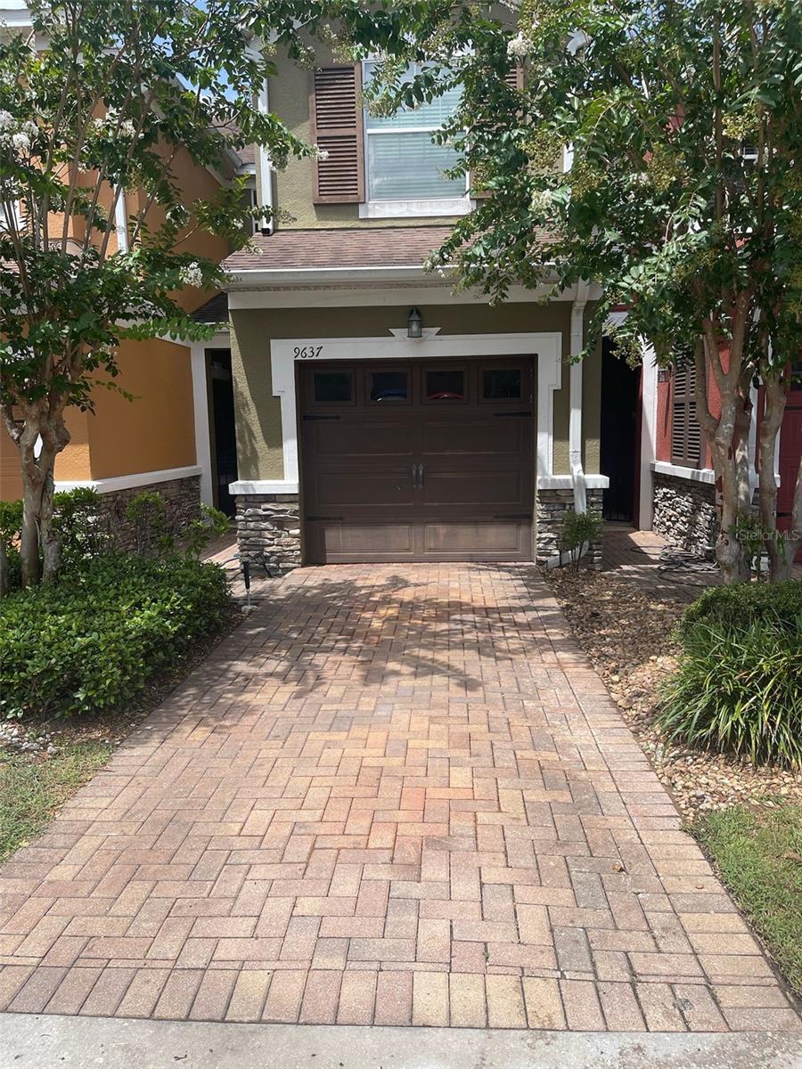 9637 SILVER BUTTONWOOD STREET