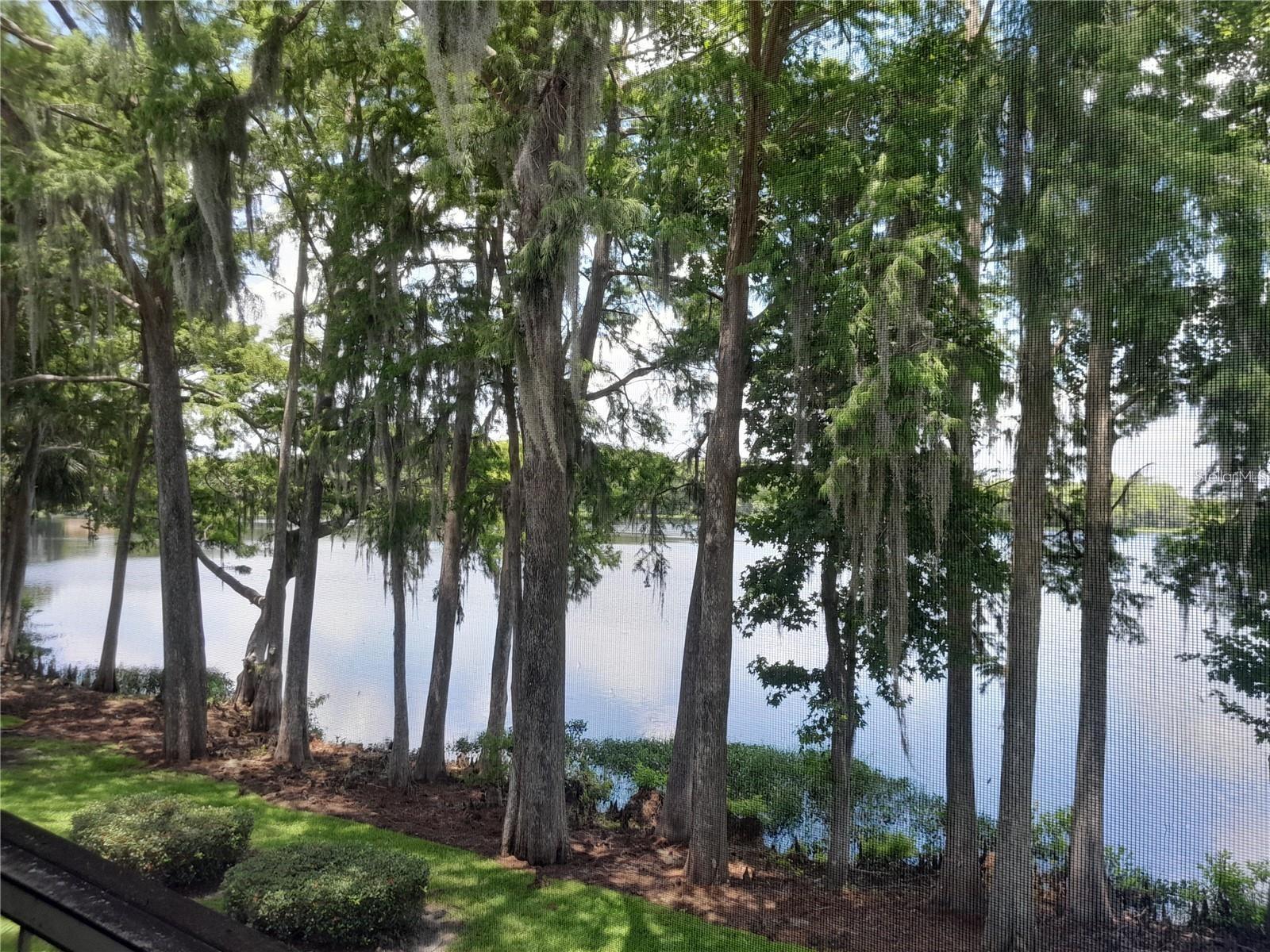 25210 NORTHLAKE DRIVE Unit 210