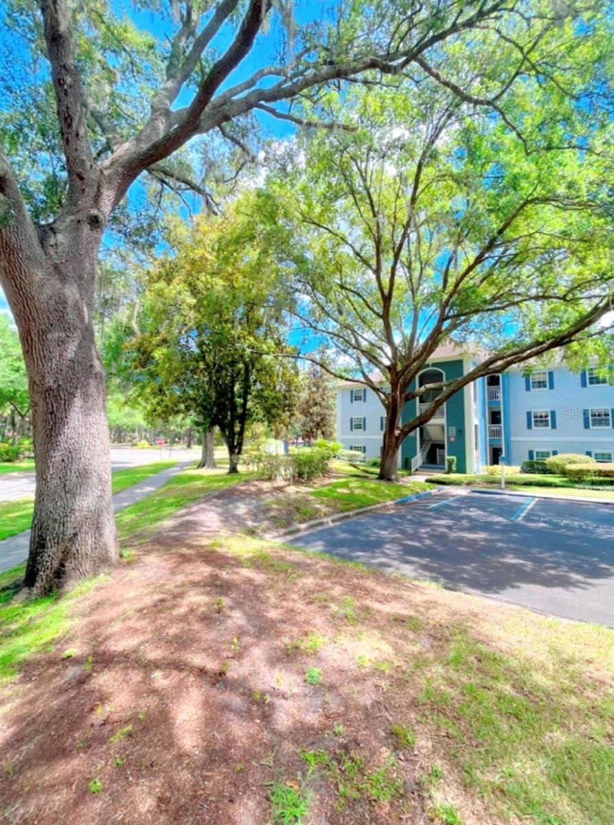 8203 OLYMPIA COURT Unit 8203