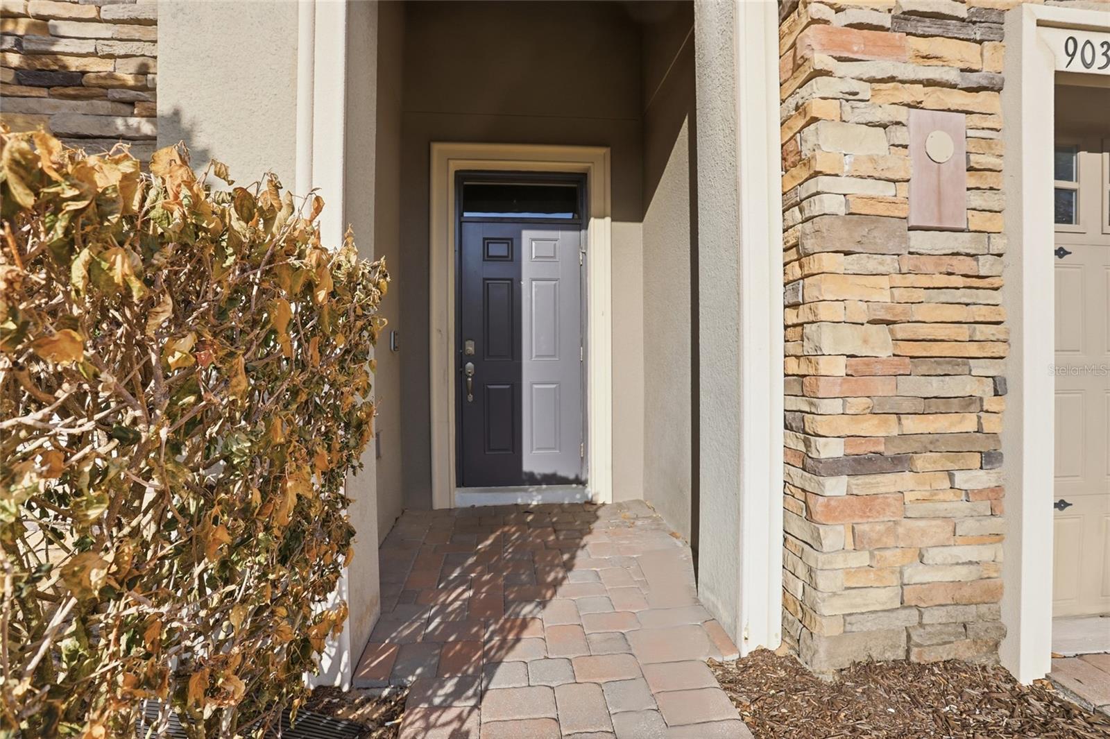 Photo 42
