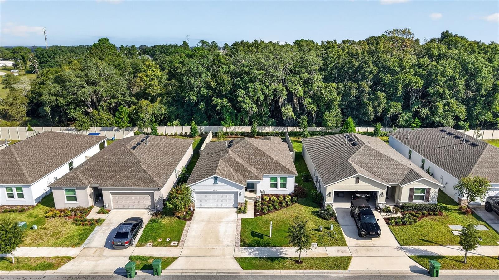 Listing photo 2 for 33692 Sky Blossom Cir
