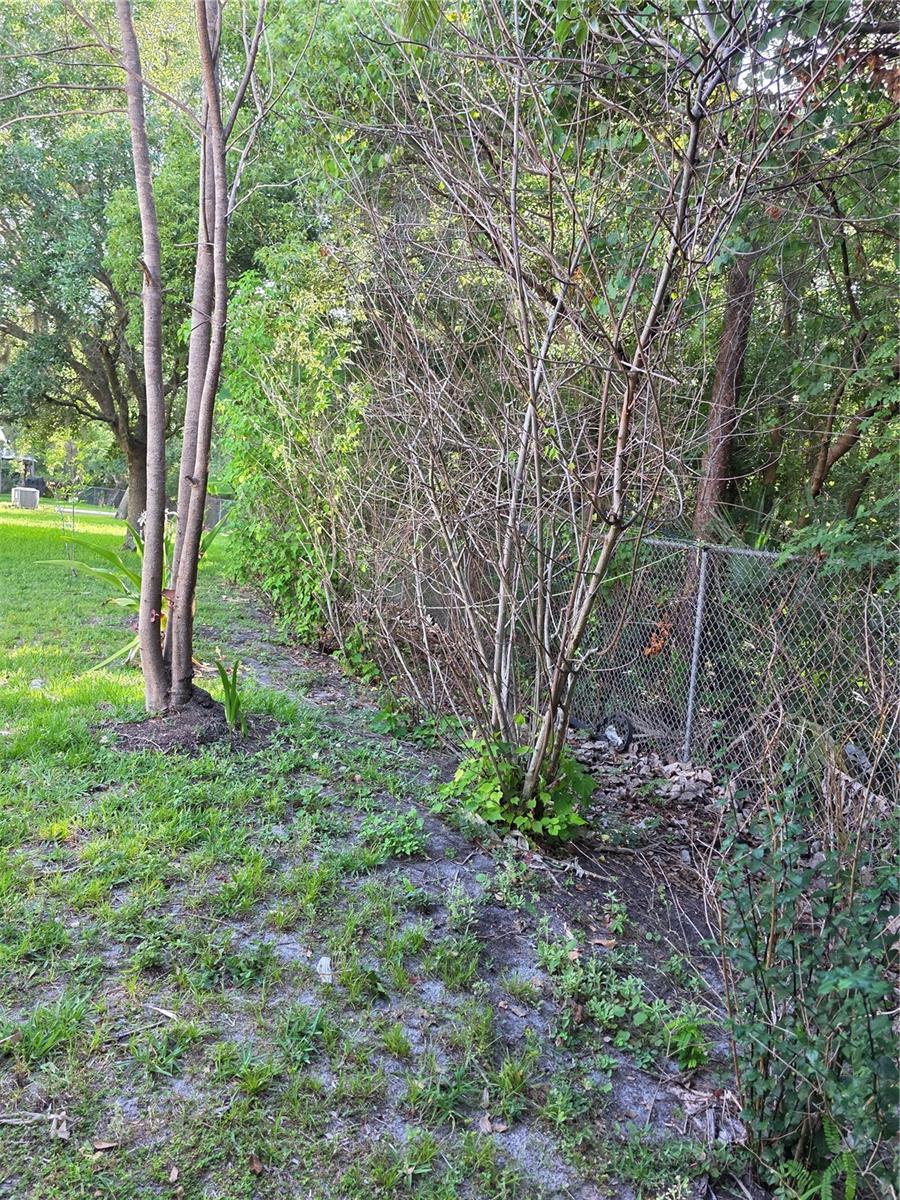 Photo 35