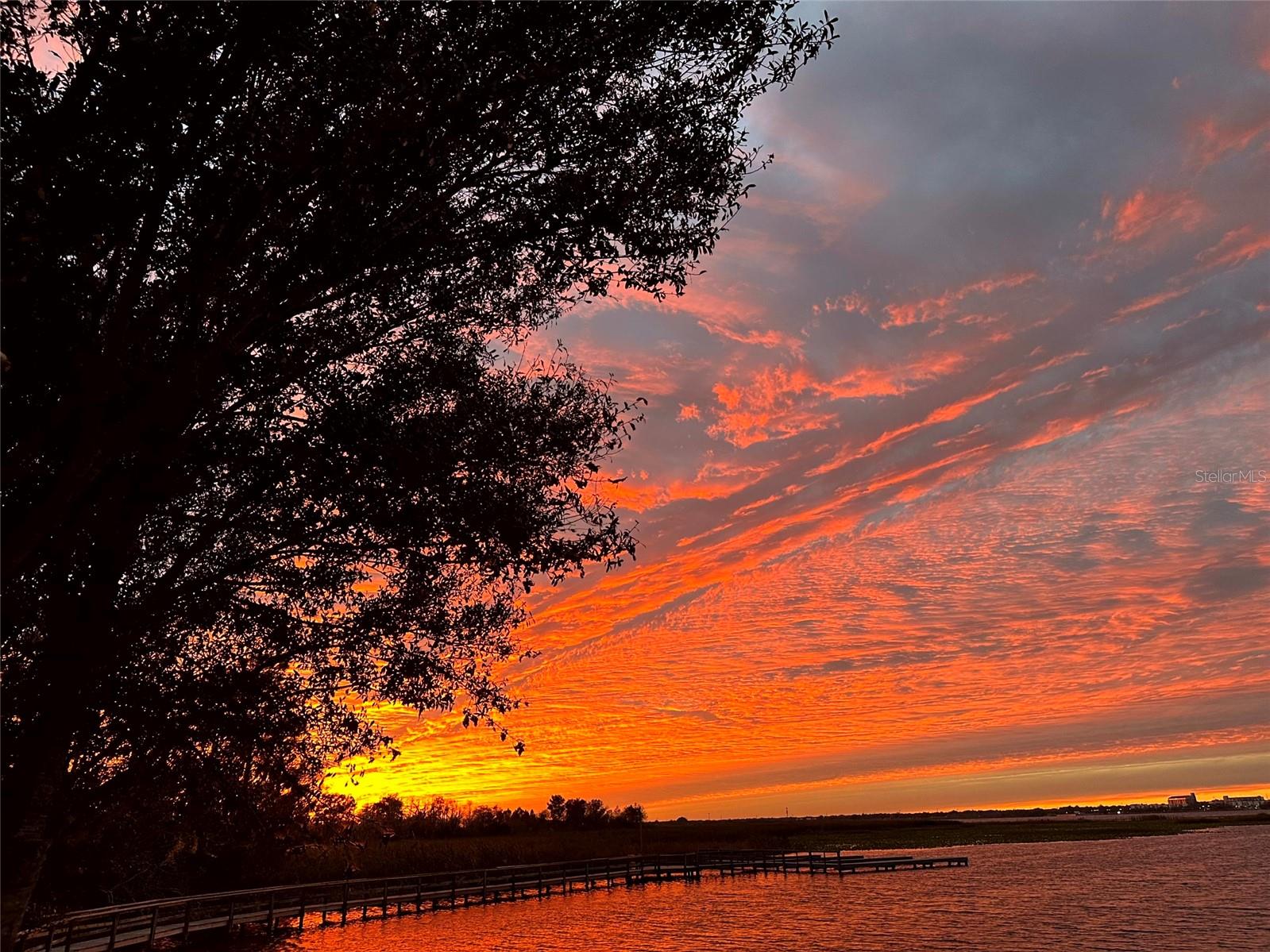 1501 SUNSET POINTE PLACE