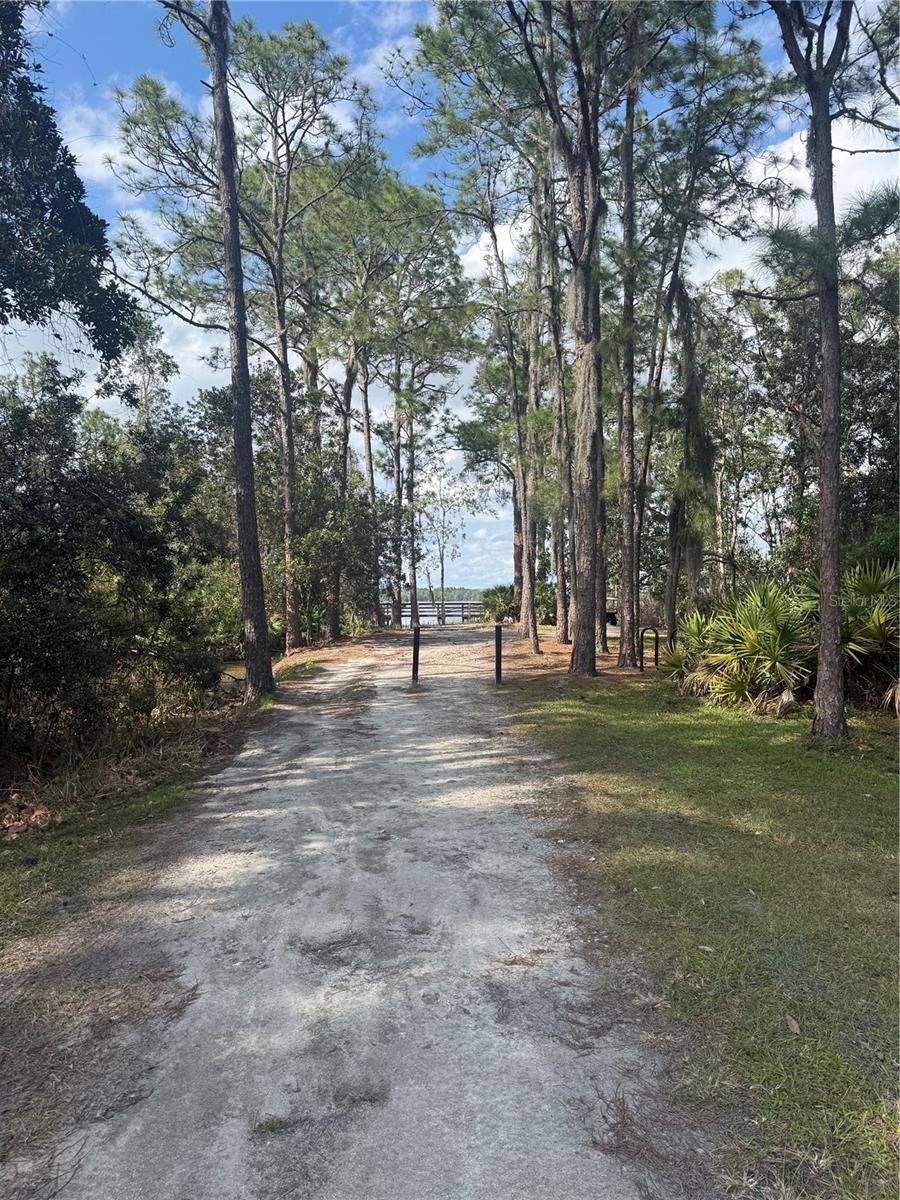 Photo 60