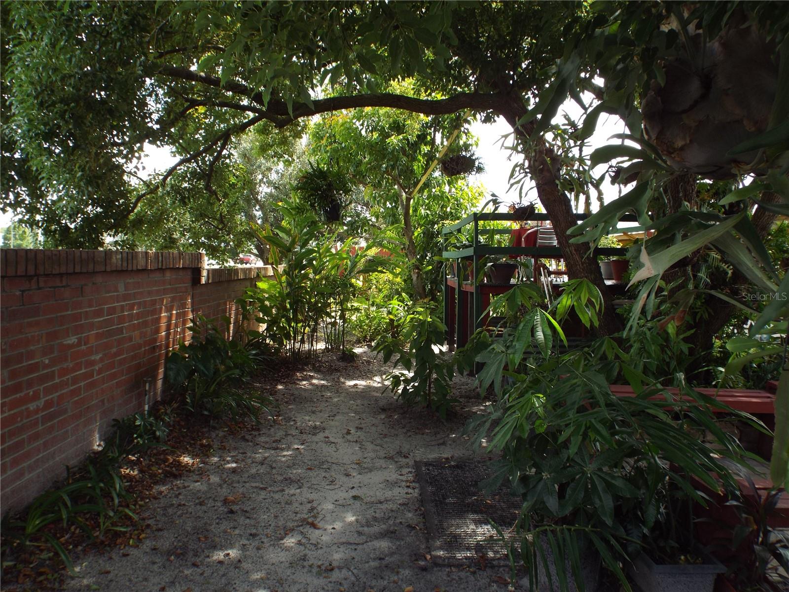 Photo 38