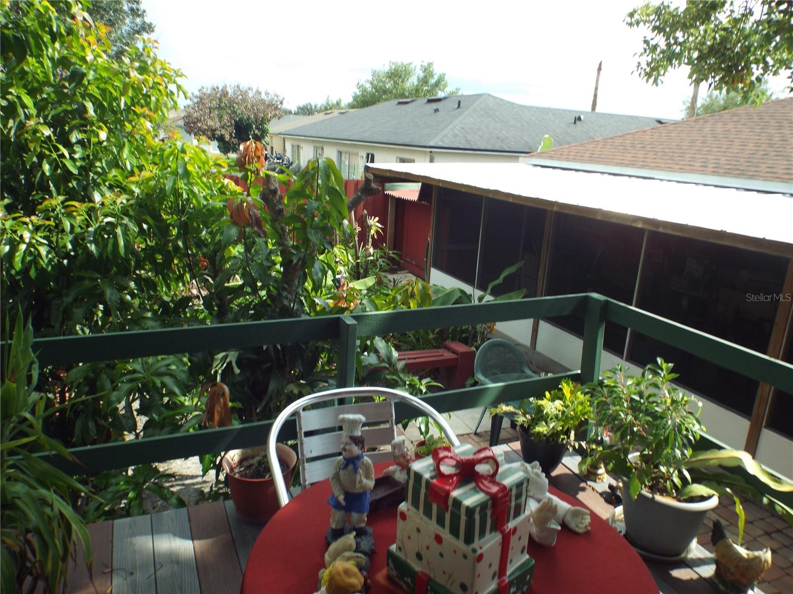 Photo 46