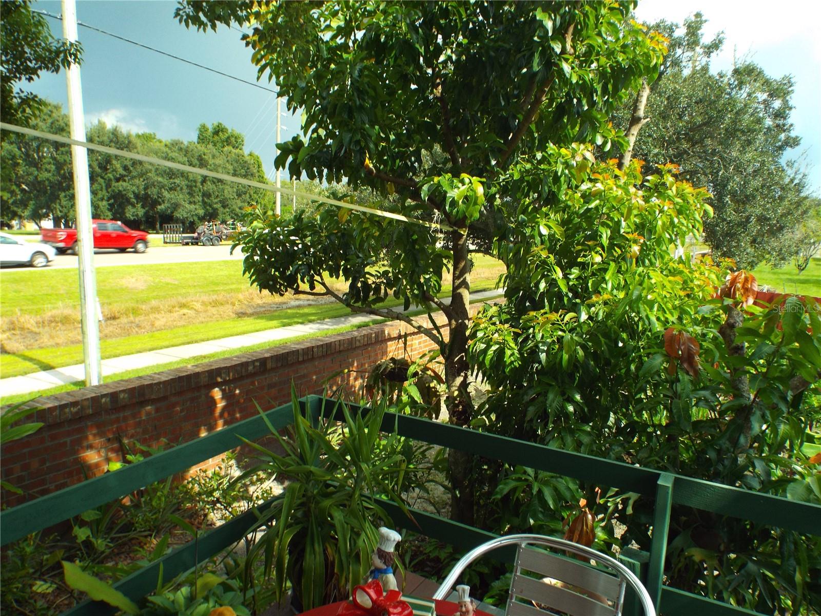 Photo 47