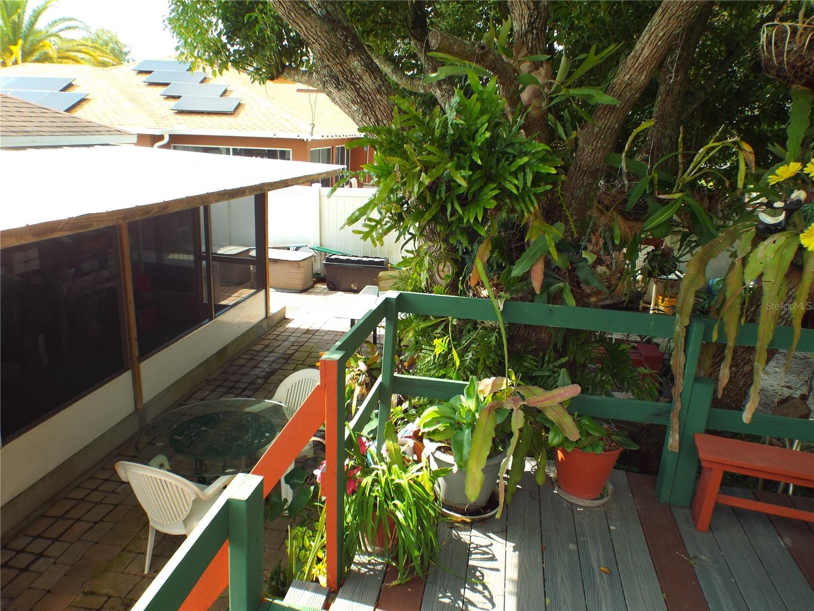Photo 48