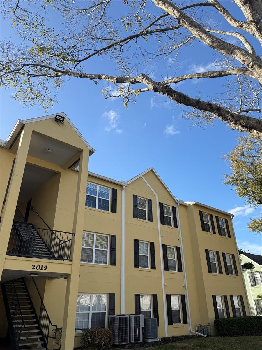 2019 DIXIE BELLE DRIVE Unit 2019W