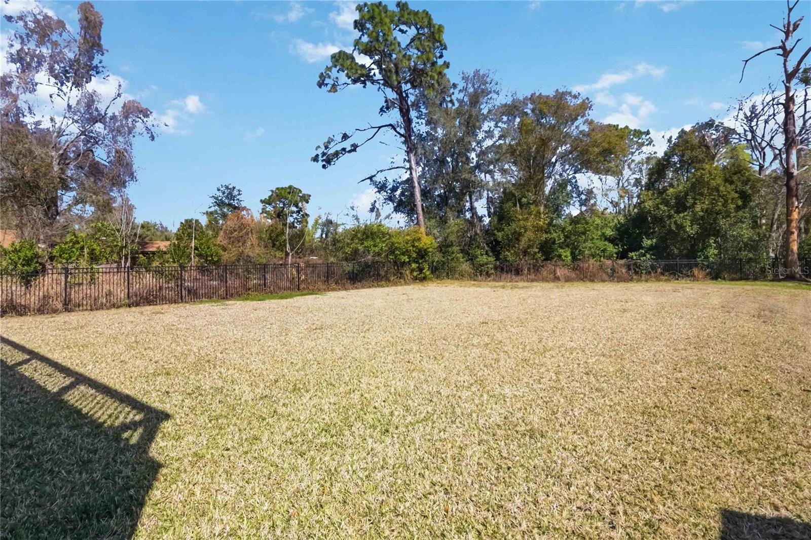 Photo 67
