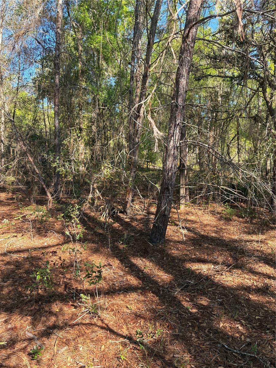 Listing photo 3 for 24533 Pink Panther Rd
