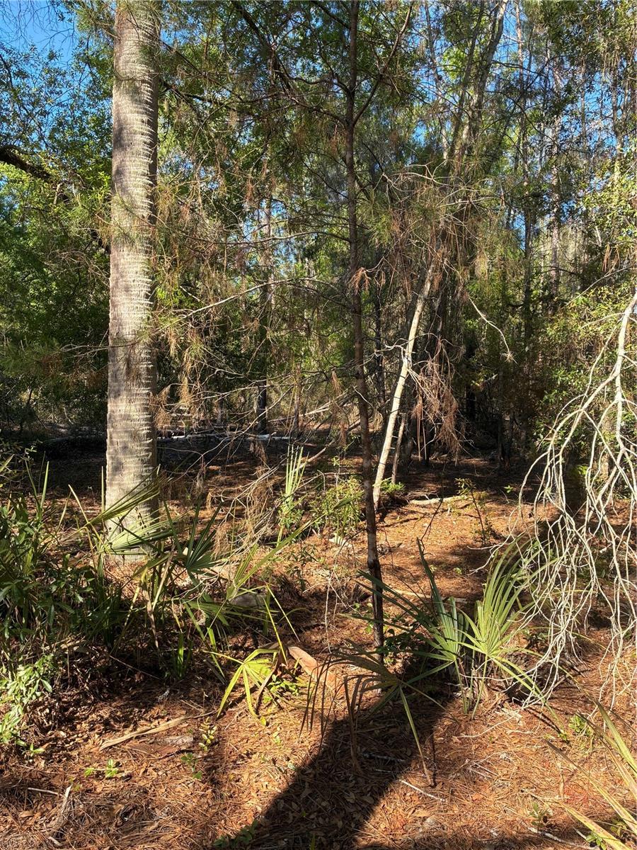 Listing photo 2 for 24533 Pink Panther Rd