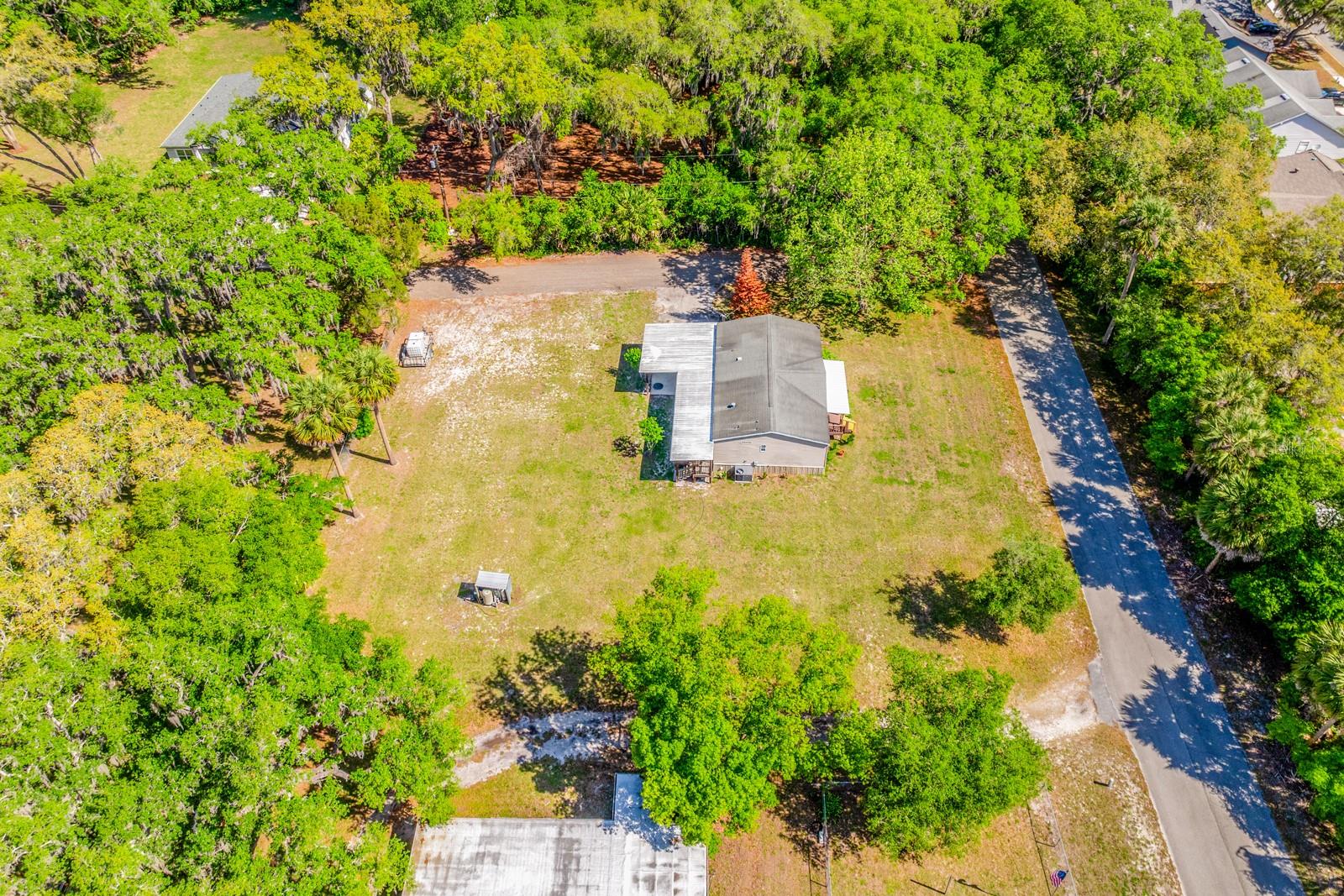 Photo 59