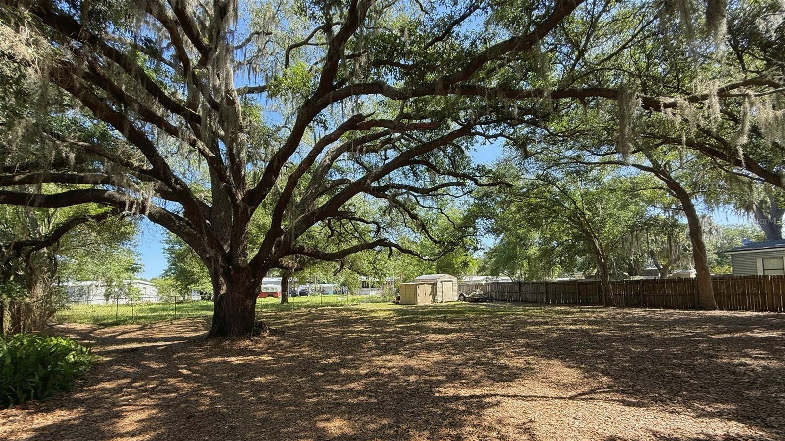 Listing photo 3 for 4817 Rollinglen Loop W