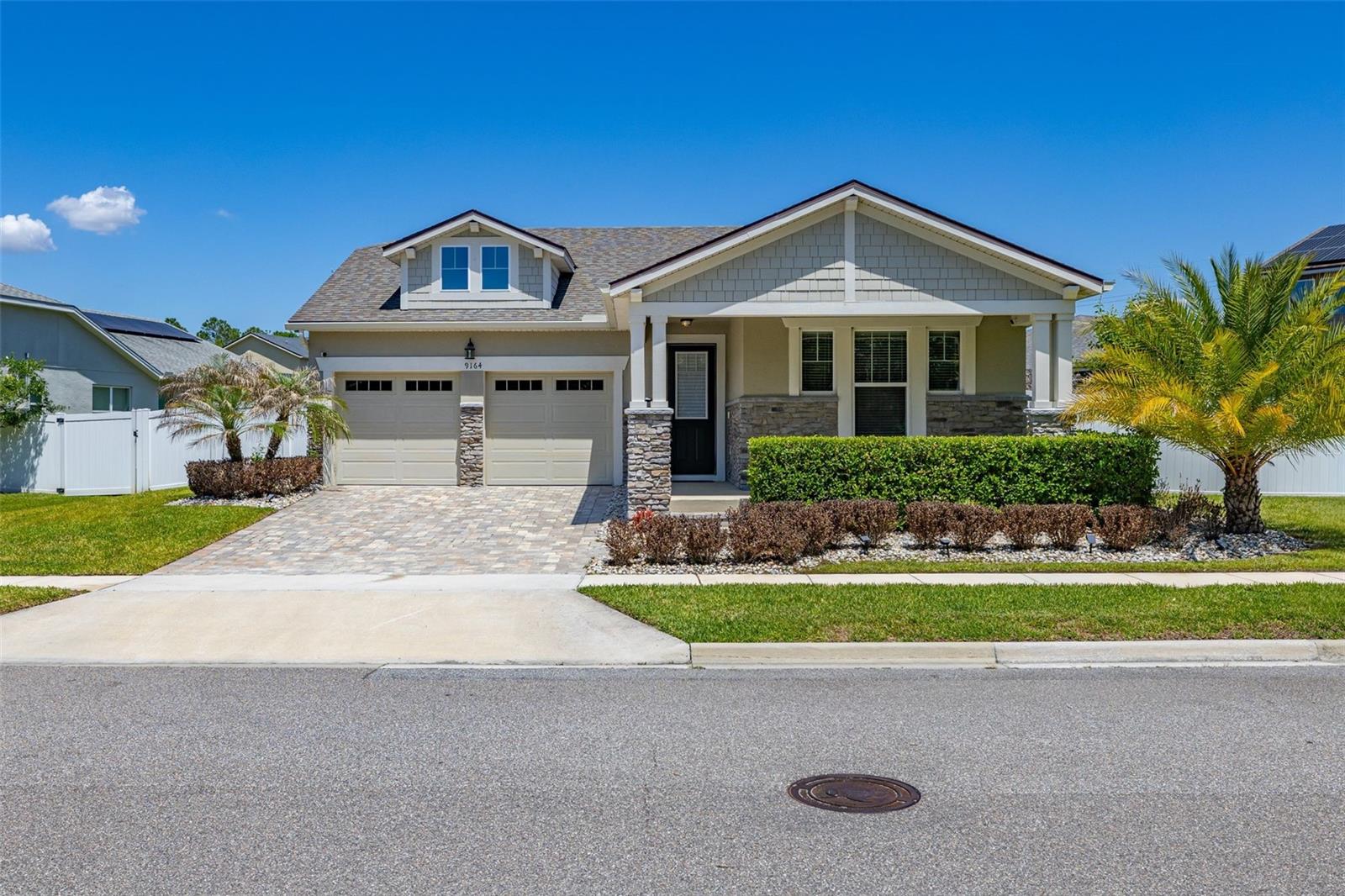 9164 PATRIMONIO LOOP