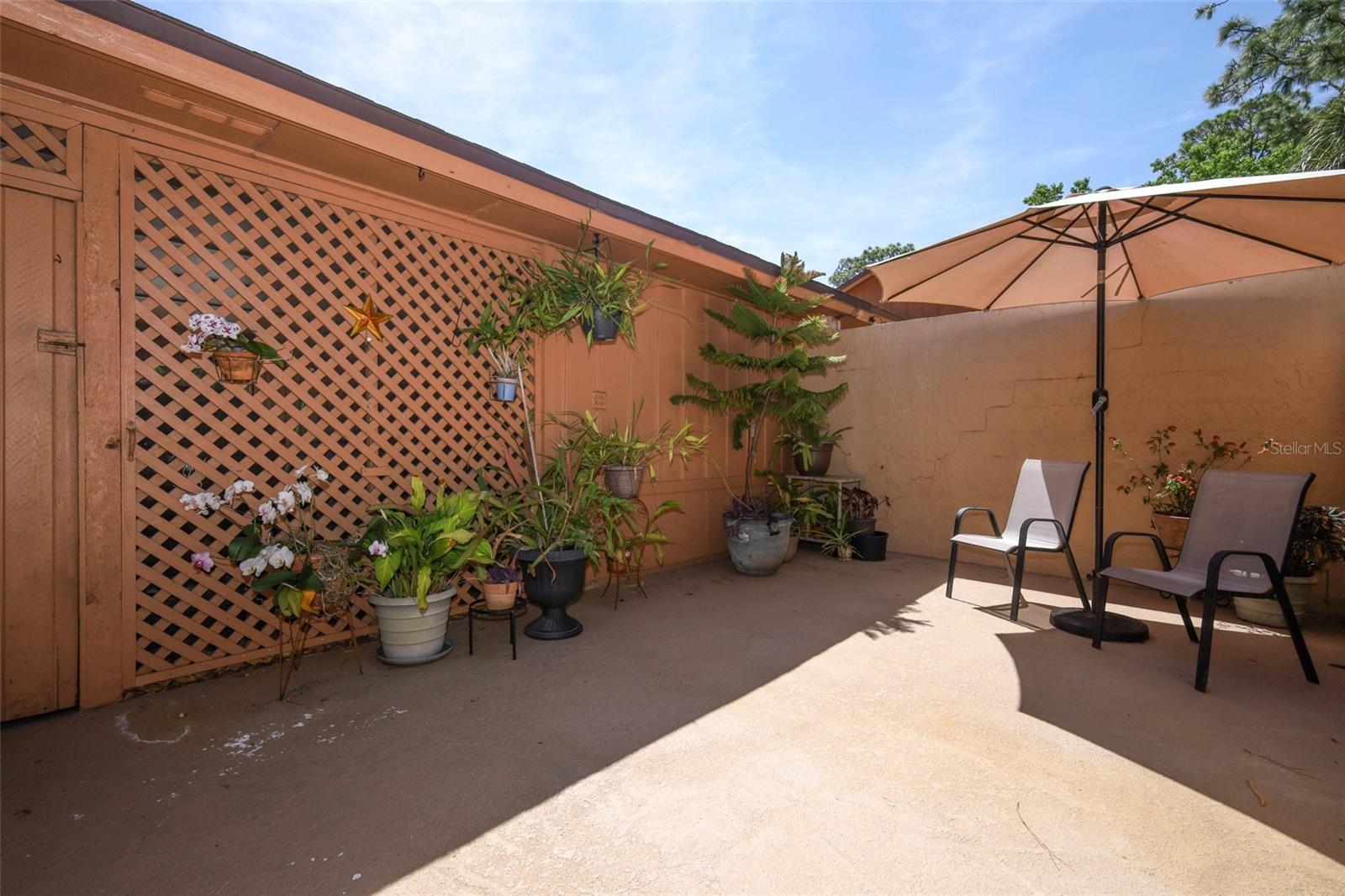Photo 35