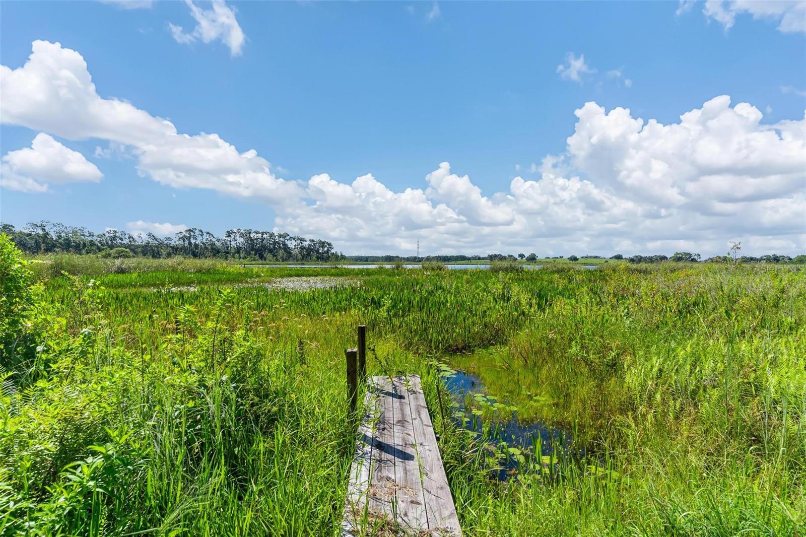 Listing photo 3 for 26833 Anderson Ranch Rd