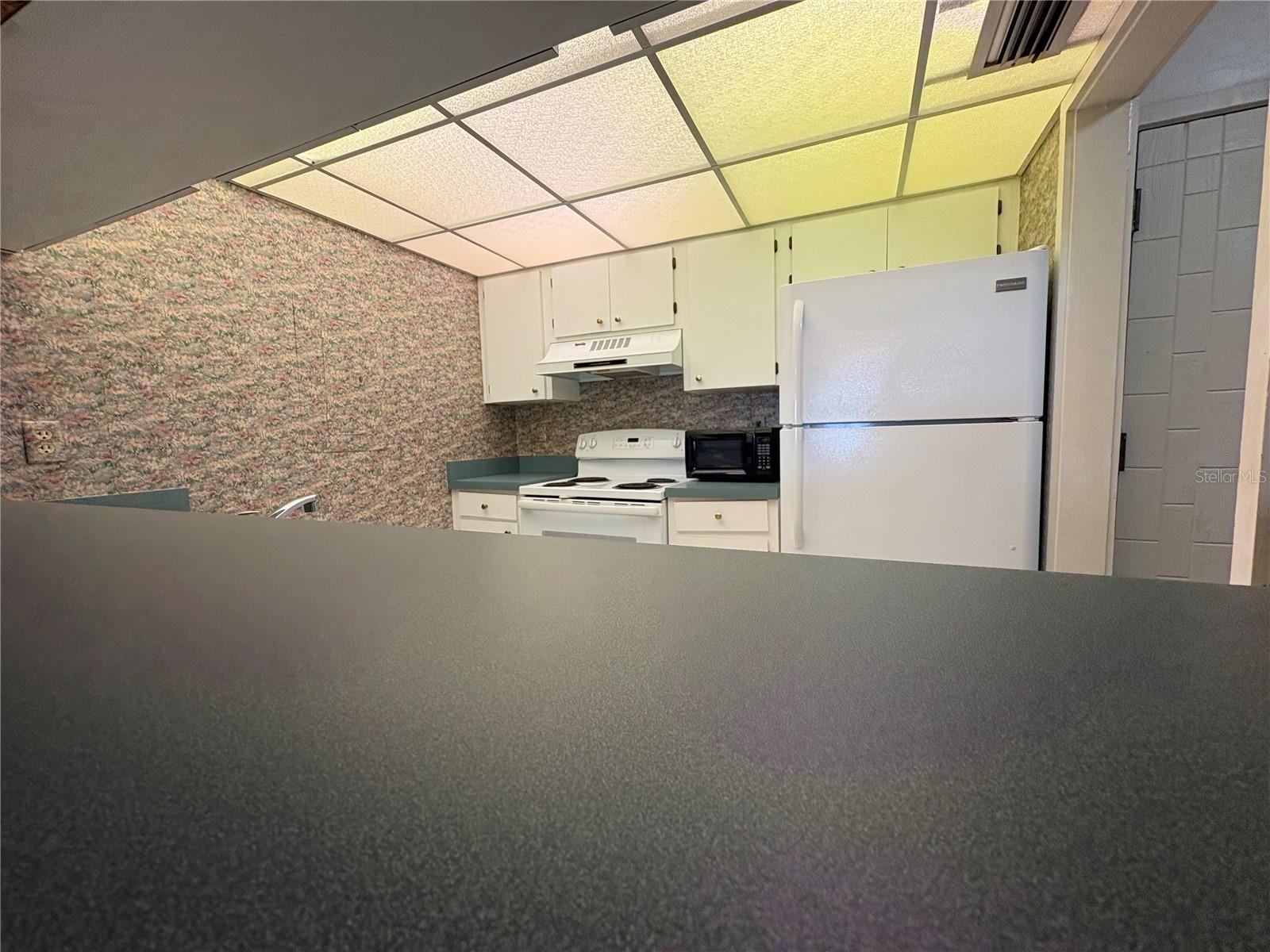 Listing photo 3 for 167 Palm View Ct #3487