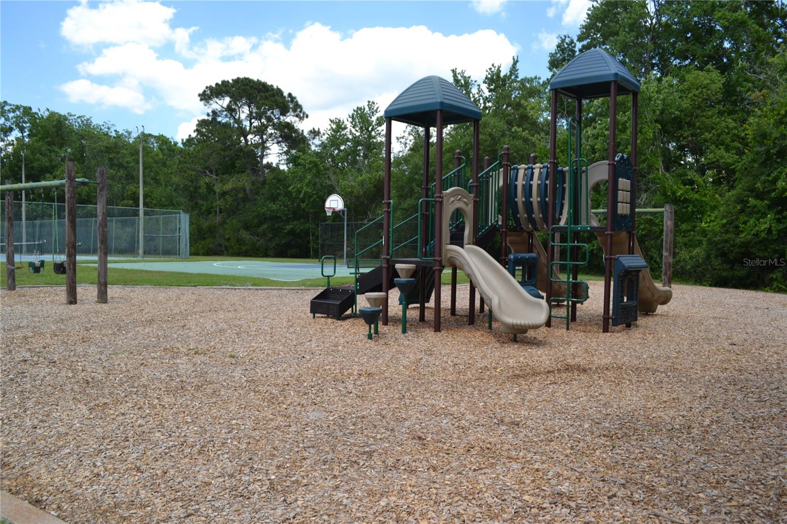 Photo 43