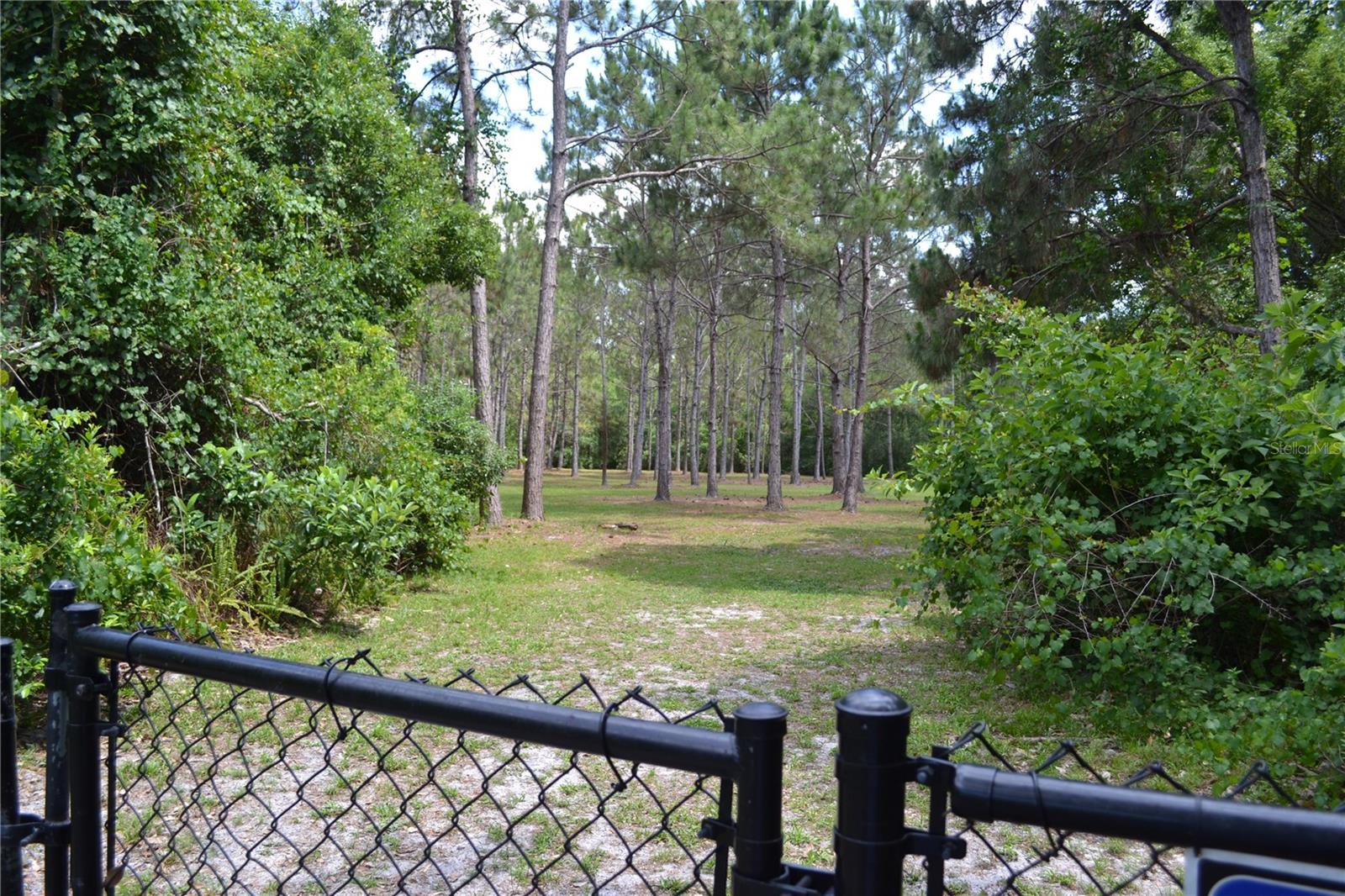 Photo 47