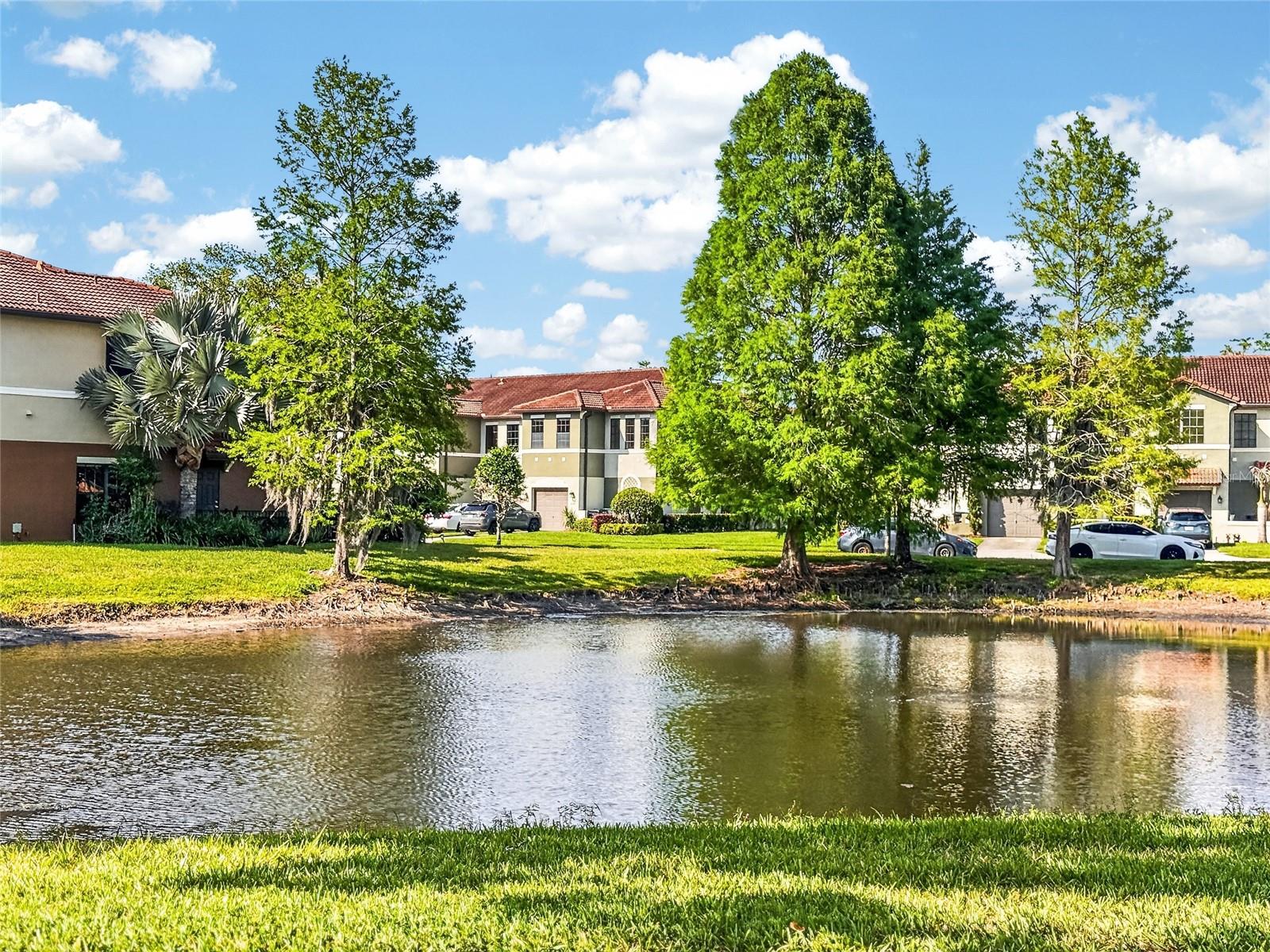 Photo 55