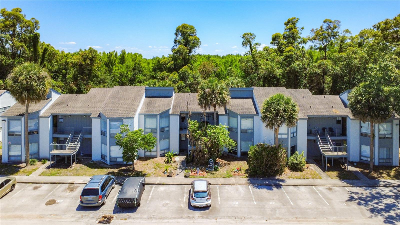 2636 LEMON TREE LANE