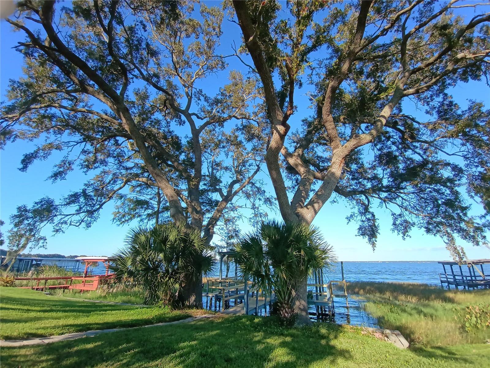 Listing photo 1 for 34232 Island Dr