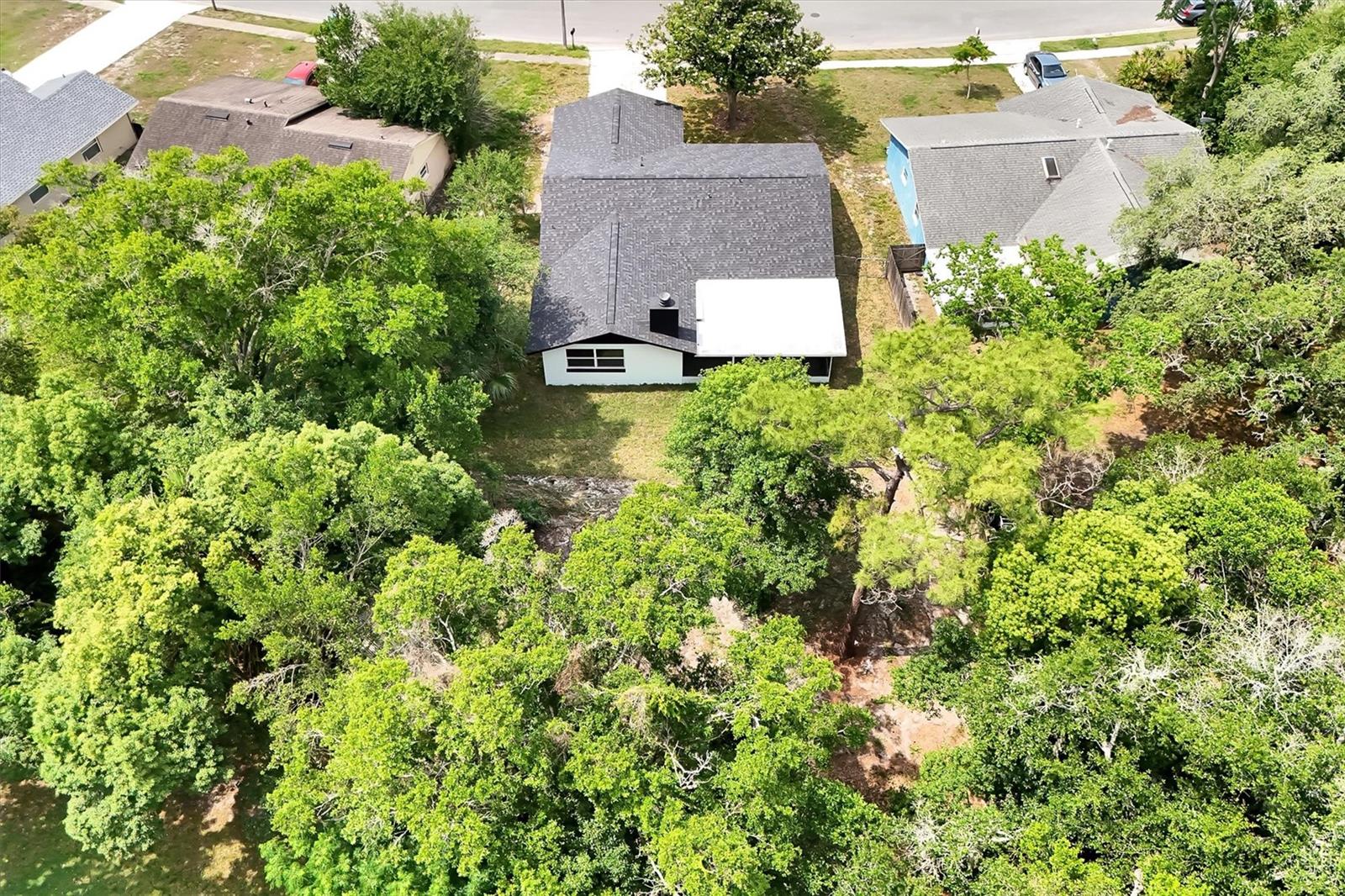 Photo 47