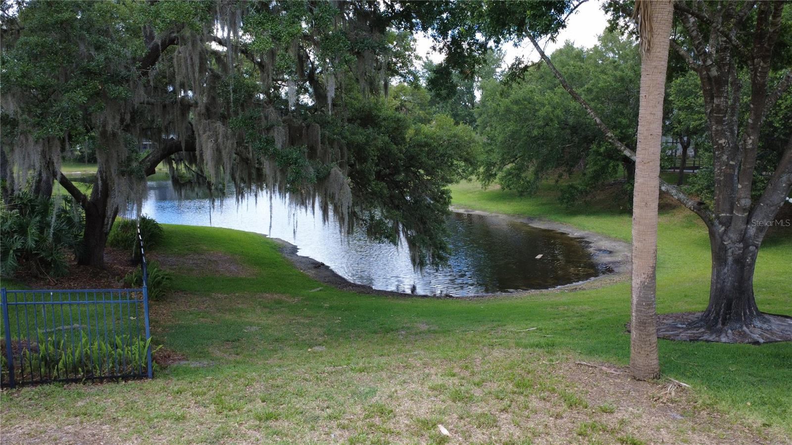 Photo 38