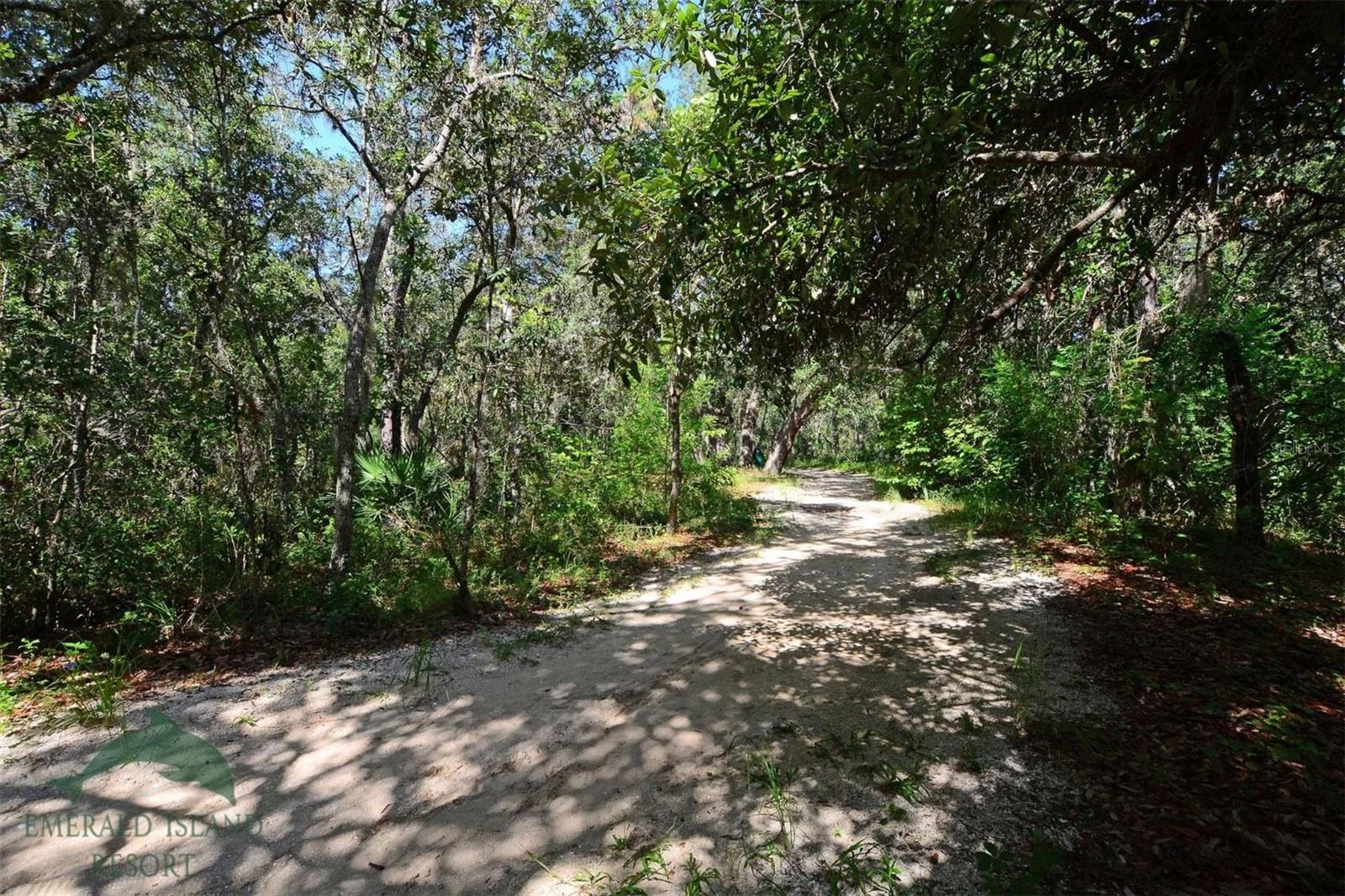 Photo 42