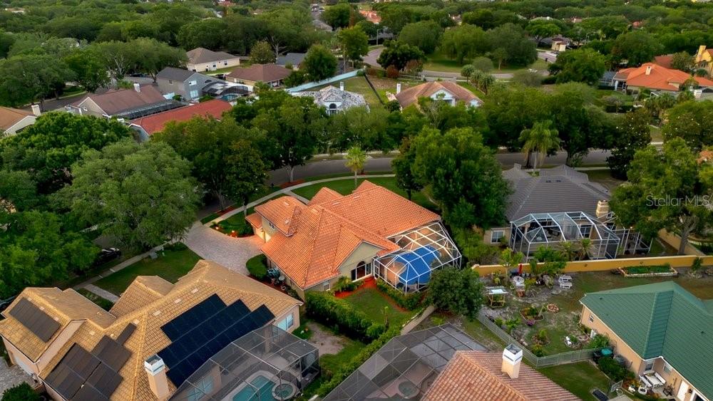 Photo 78