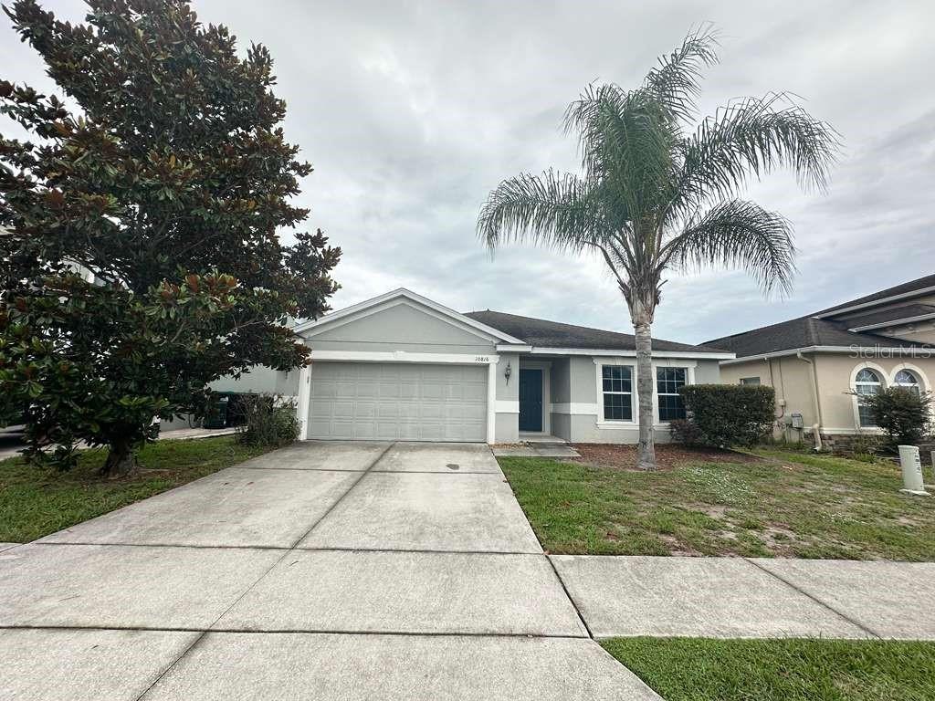 10816 CABBAGE TREE LOOP