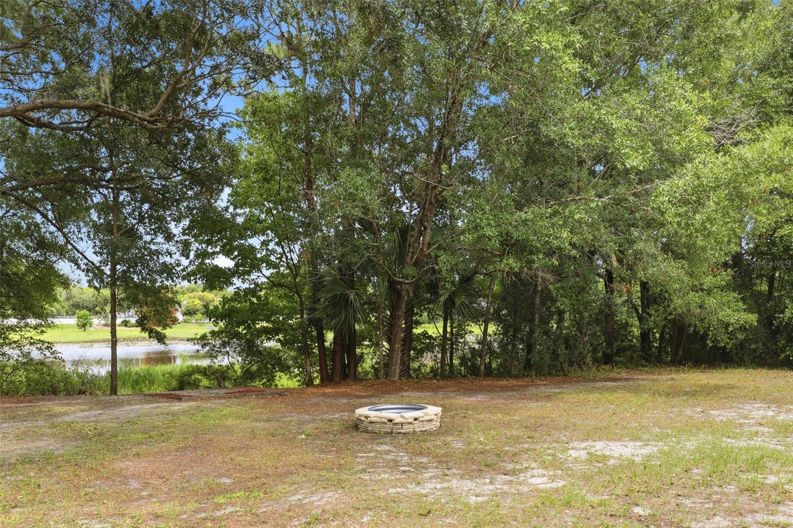 Photo 46