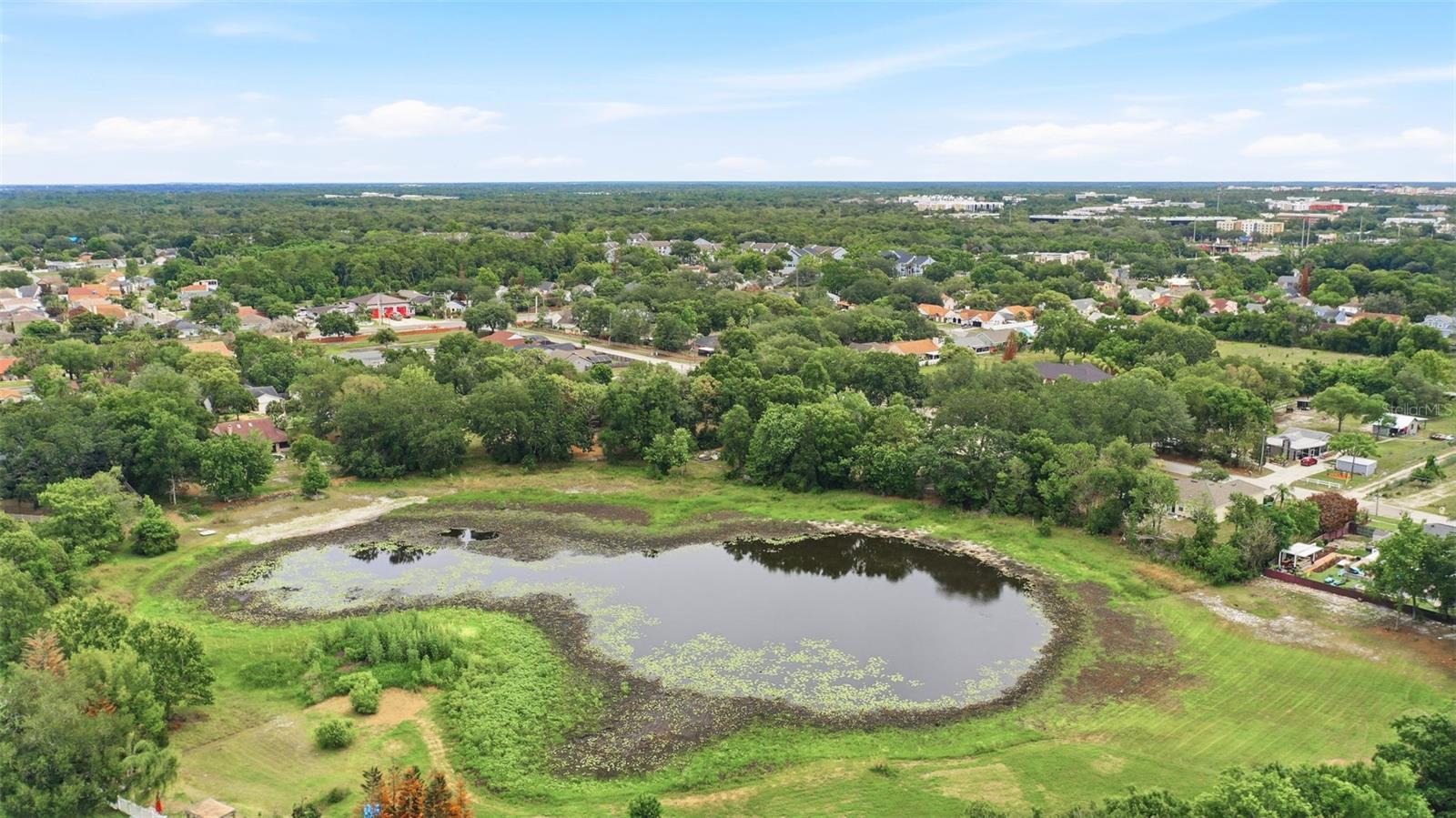 Photo 49