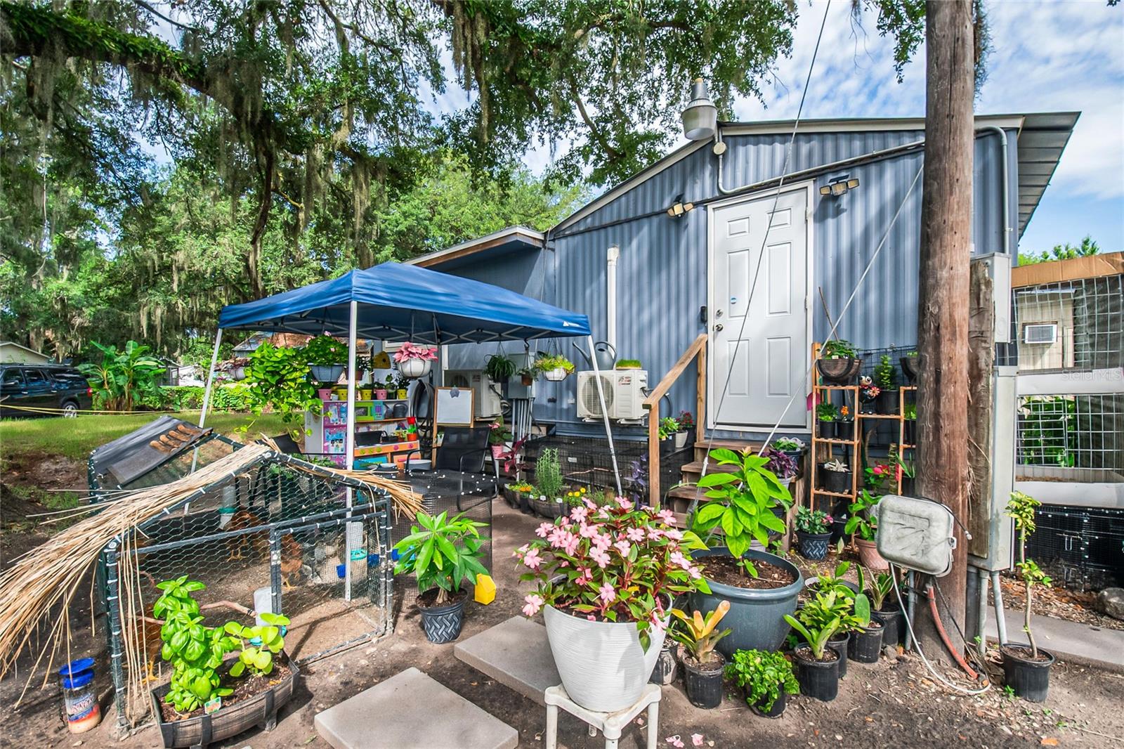 Photo 9