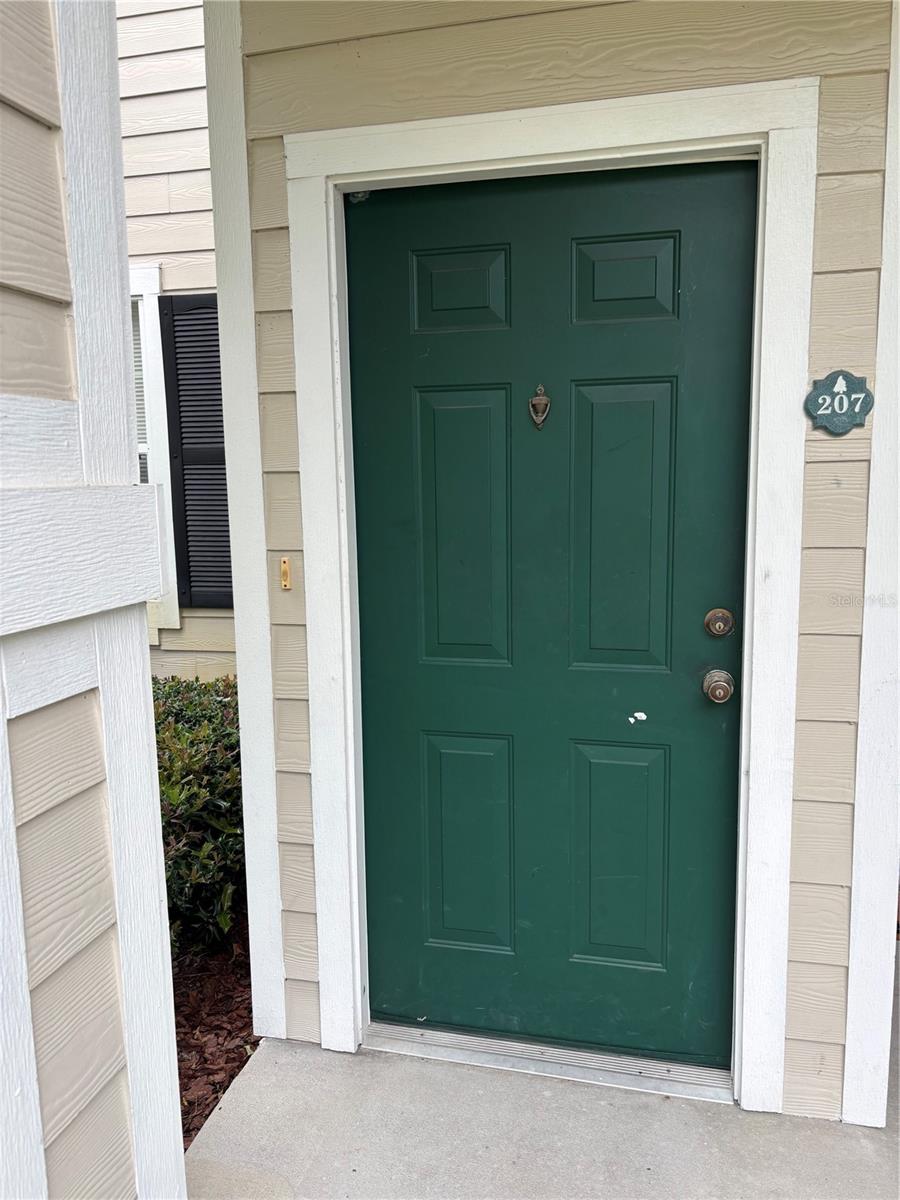 417 SOUTHERN PECAN CIRCLE Unit 207