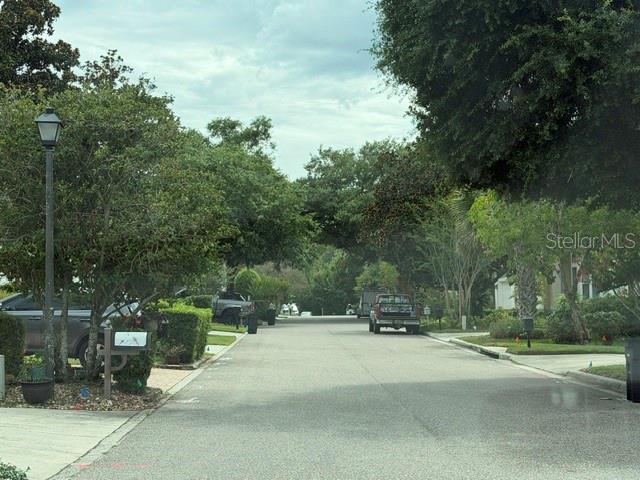 Photo 35