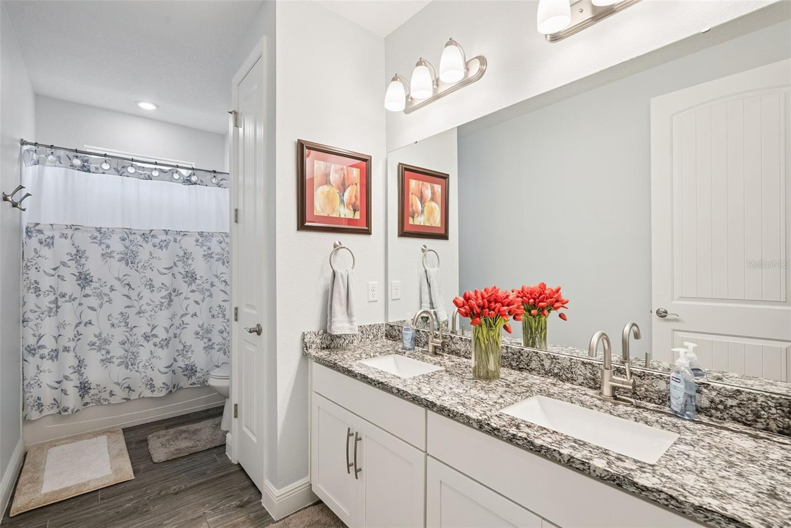 Photo 41