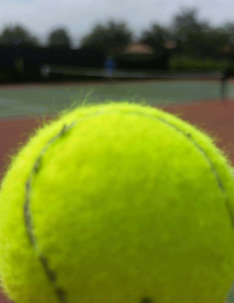 Photo 49