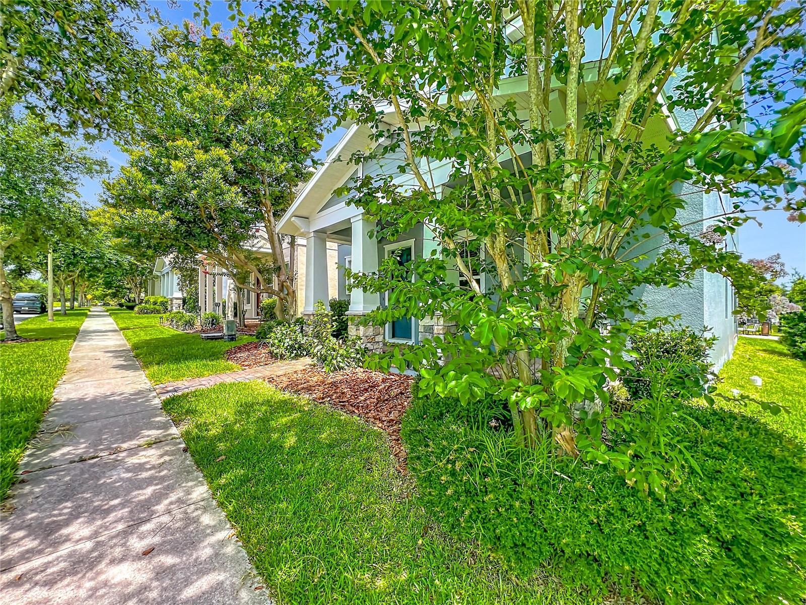 15813 SWEET LEMON WAY