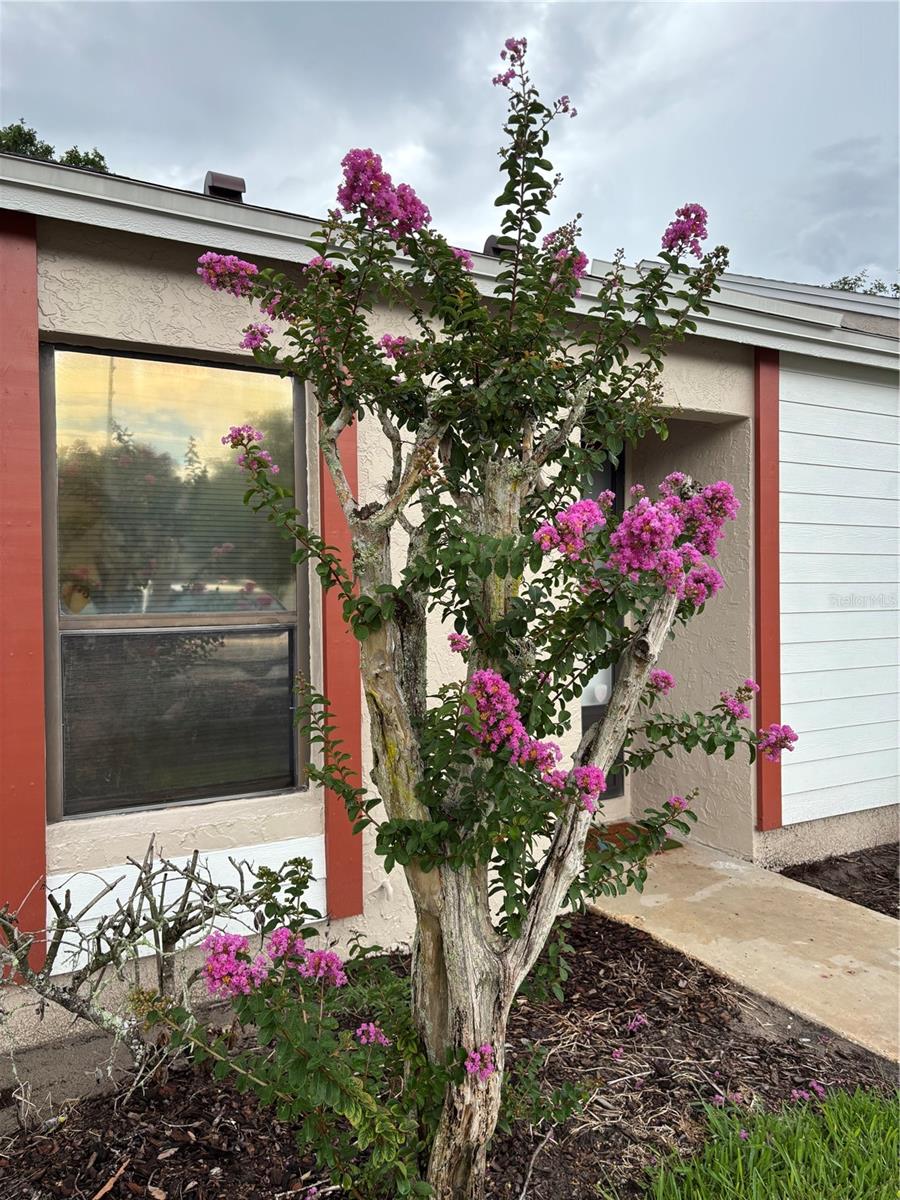 7733 COUNTRY PLACE Unit G2