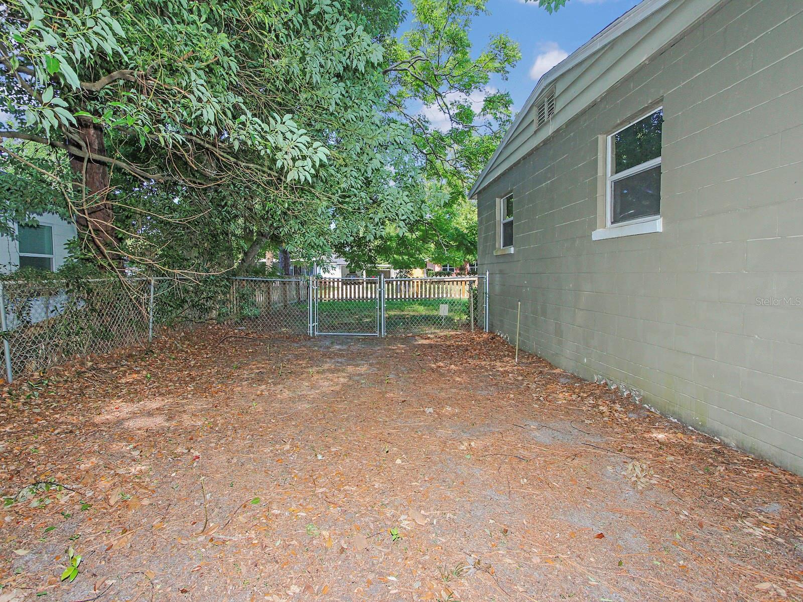 Photo 25