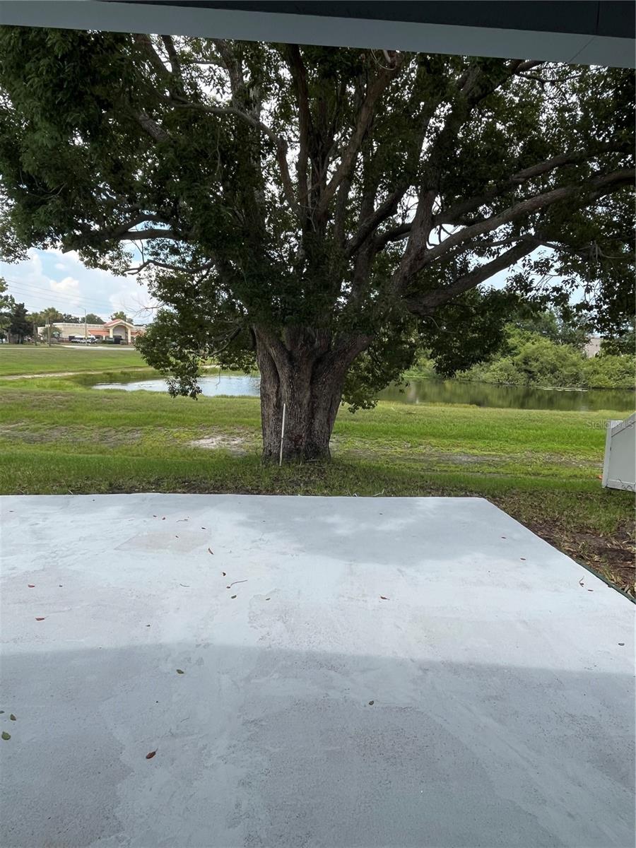 Photo 35