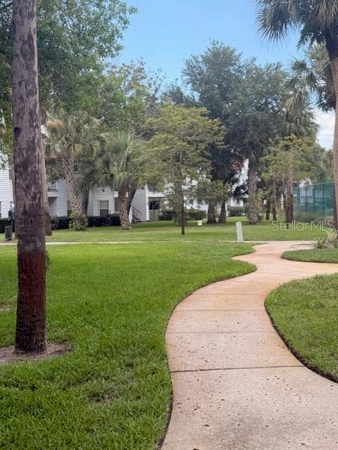 Photo 29