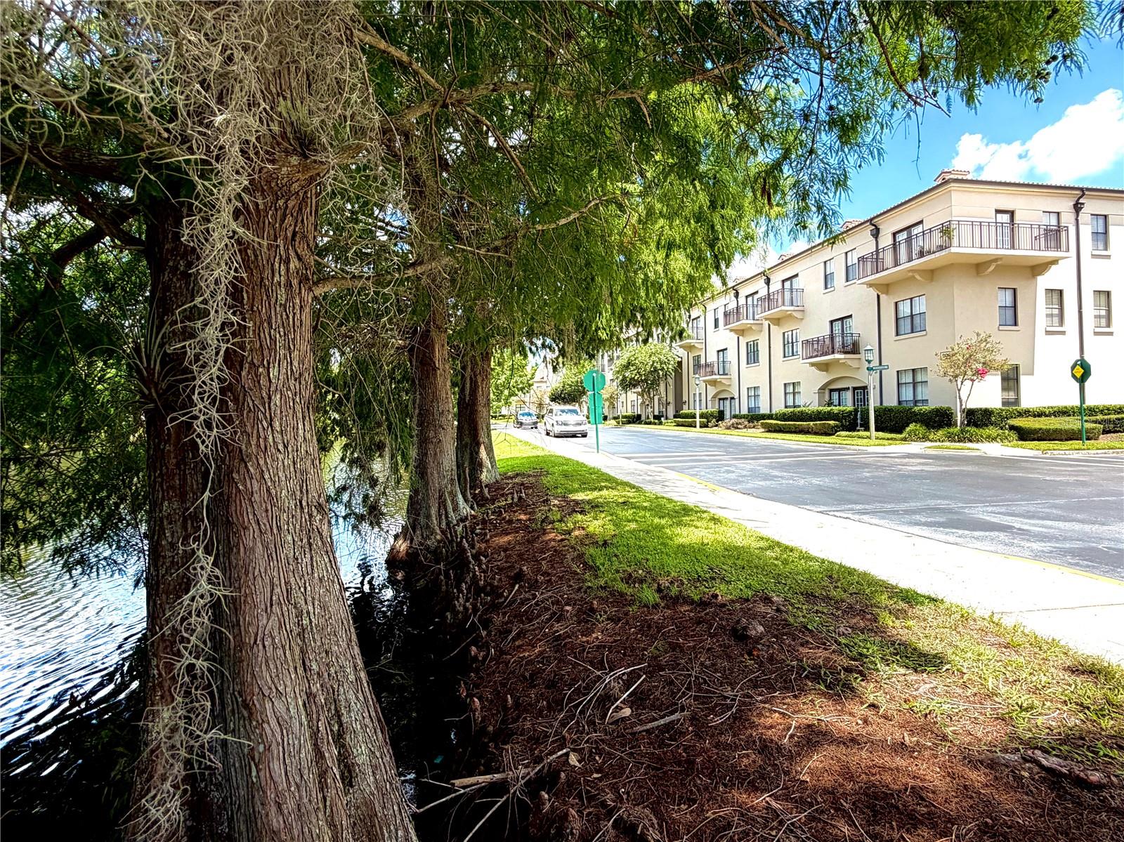 909 WATERSIDE LANE Unit 205