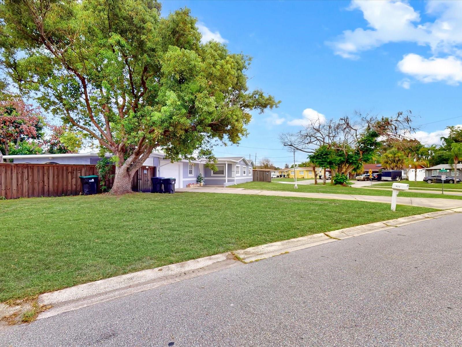 Photo 46