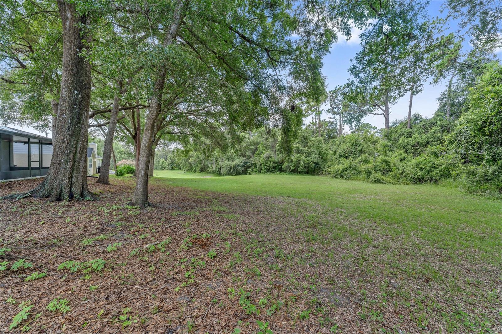Photo 33
