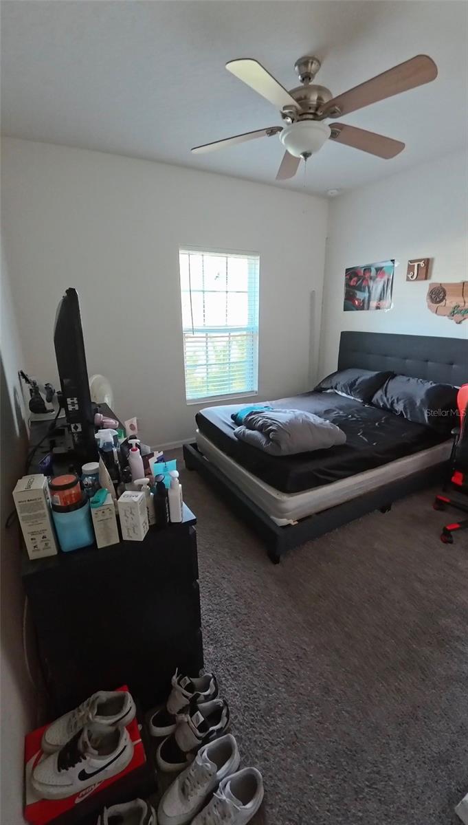 Photo 31