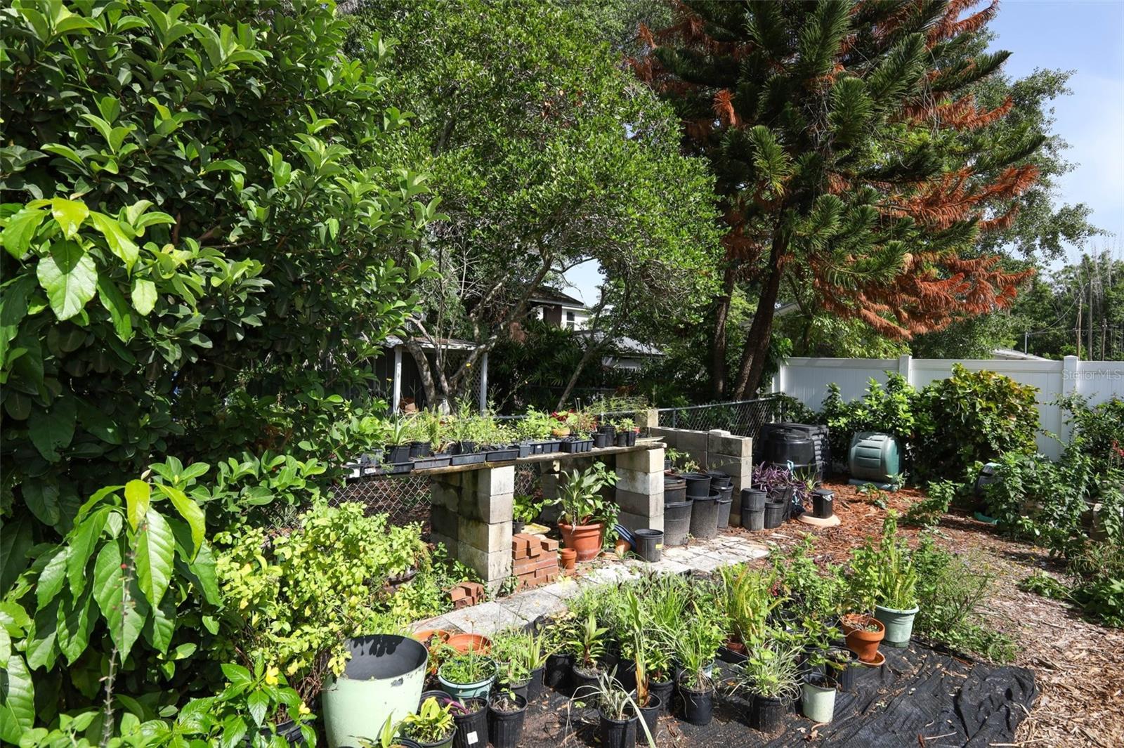 Photo 44